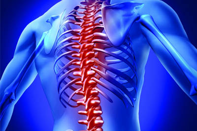Chiropractic Neck