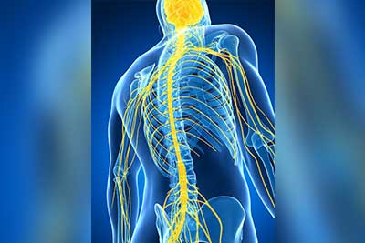 Chiropractic